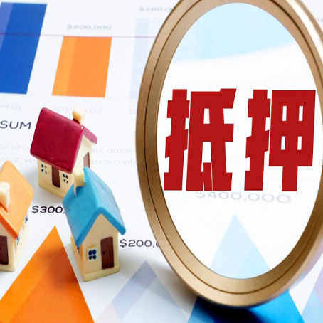 海棠助贷公司推荐一家新渝启服